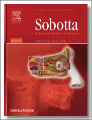 Sobotta Atlas of Human Anatomy, Volume 1: Head, Neck, Upper Limb, 14th Edition, Reinhard Putz, Urban & Fischer Elsevier Health Sciences