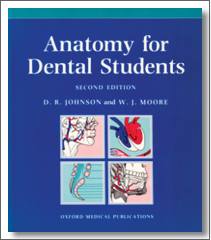 anat_dent_stud_210x240_icon