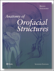 anat_orofac_struct_185x240_icon