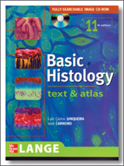 basic_hist_180x240_icon