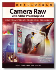 real_world_camera_raw_cs3_190x240_icon