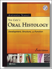 ter_cate_6th_180x240_icon