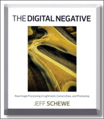 the_digital_negative_210x240_icon